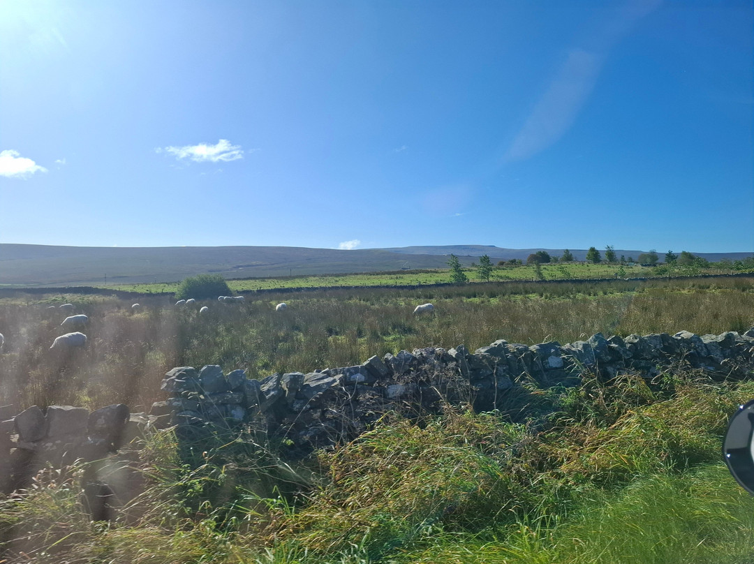 Alston House Hotel主图