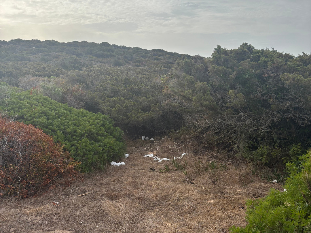 La Tonnara Beach-博尼法乔必去景点