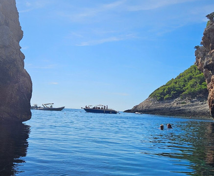 Nemo - Vis-维斯必去景点