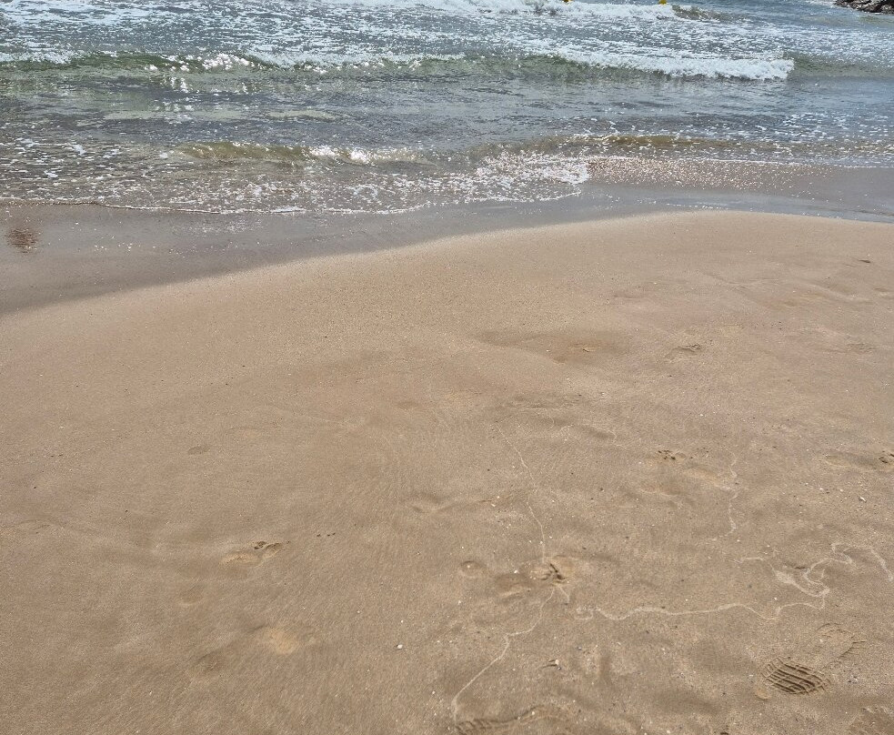 Playa de Ponent-萨洛必去景点