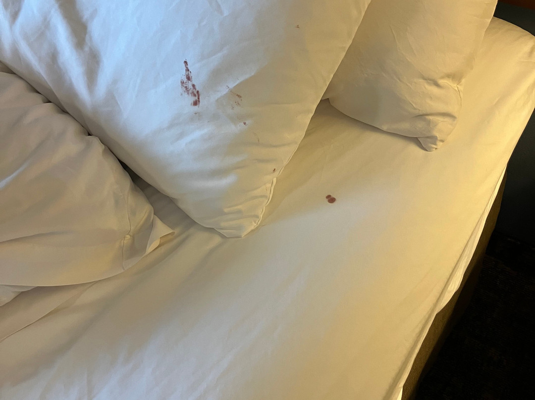 My Place Hotel-Brookings, SD主图