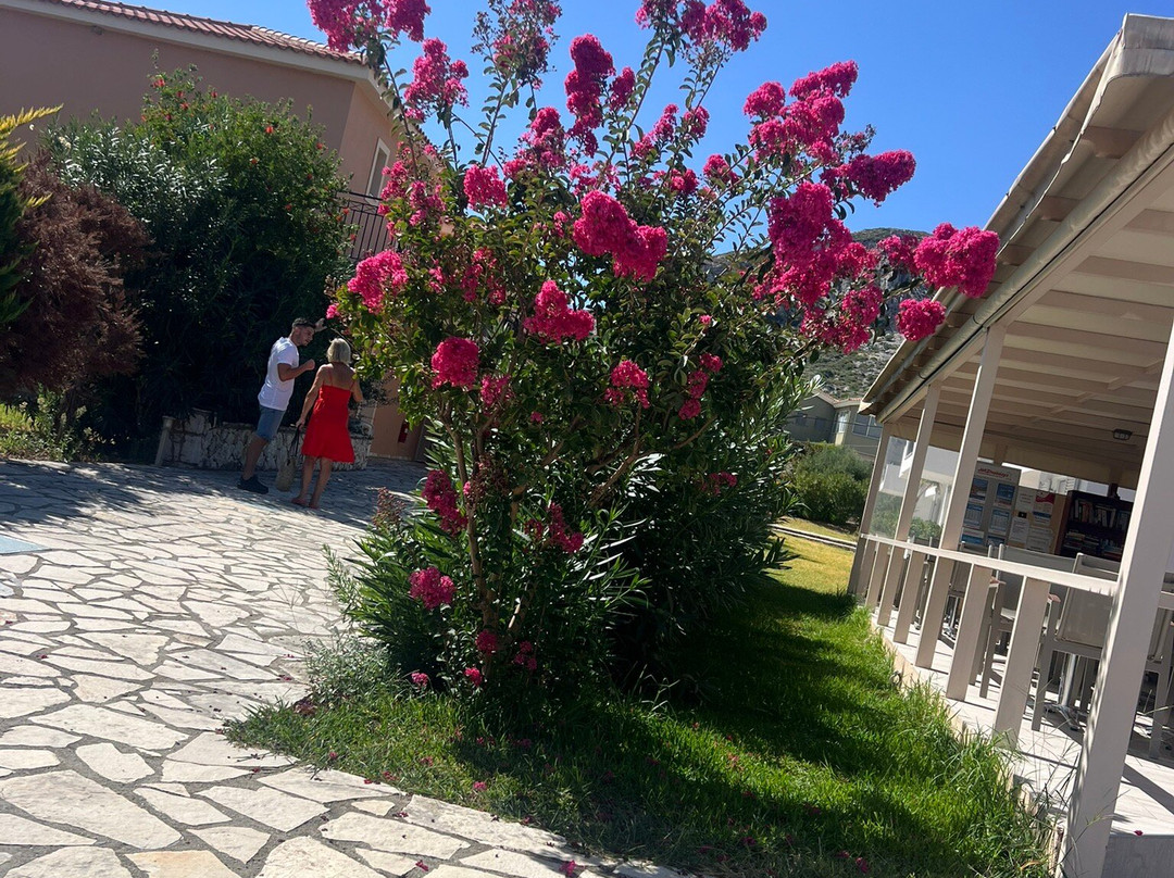 Eryphilli Studios主图