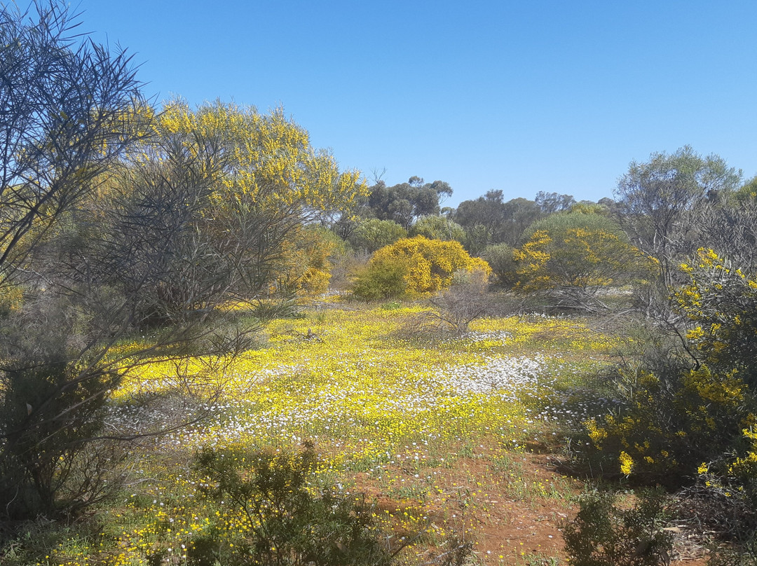 Casey Australia Tours-珀斯必去景点