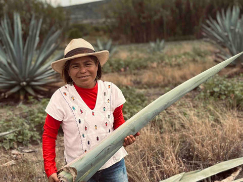 WSE Travel-瓦哈卡必去景点