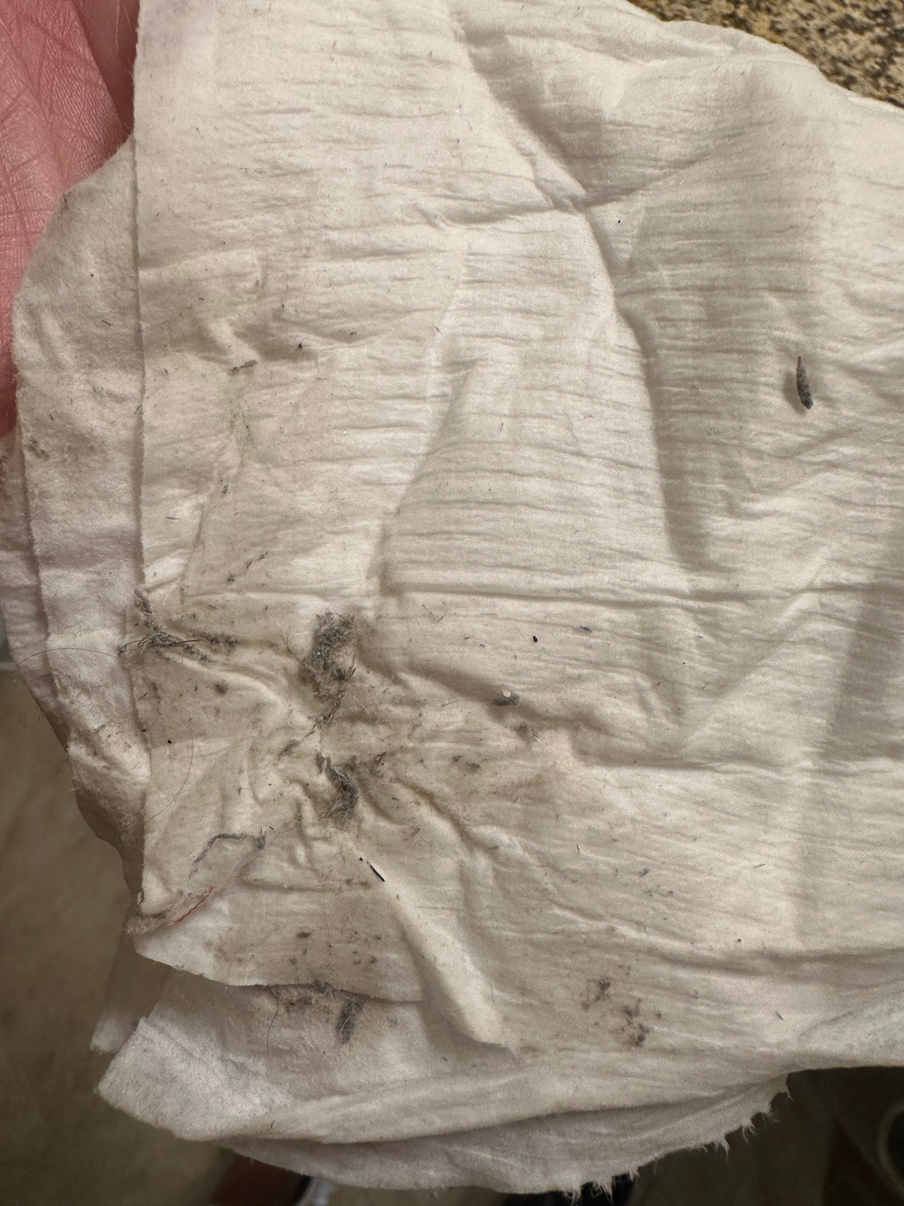 Cobblestone Inn and Suites - Brillion-浴室