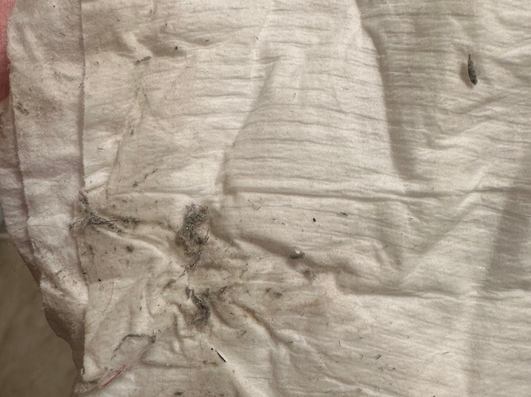 Cobblestone Inn and Suites - Brillion主图