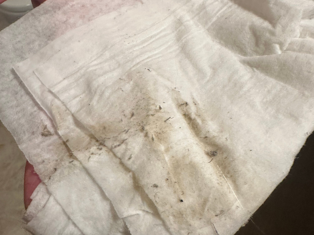 Cobblestone Inn and Suites - Brillion主图