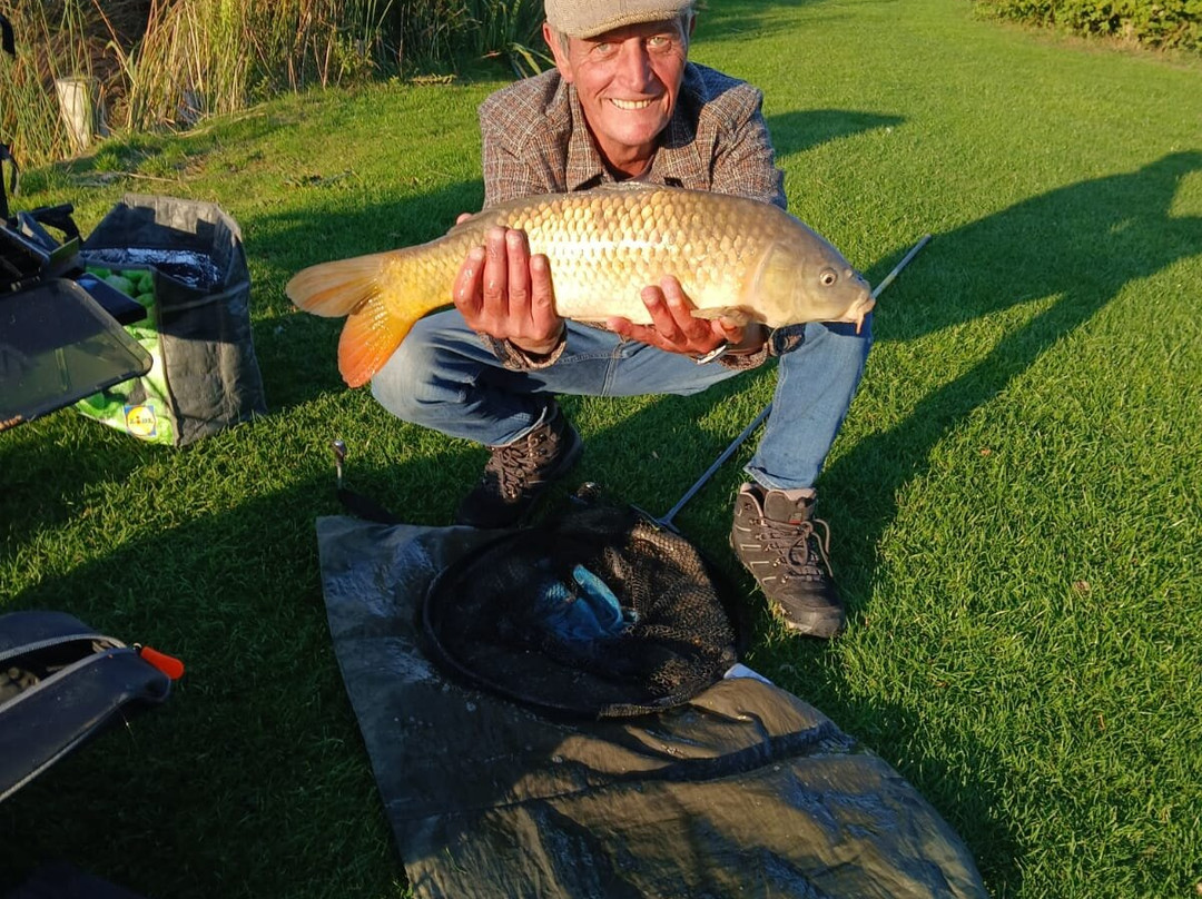 New Farm Cheshire Holidays主图