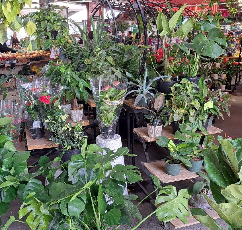 让塔隆集市-蒙特利尔必去景点