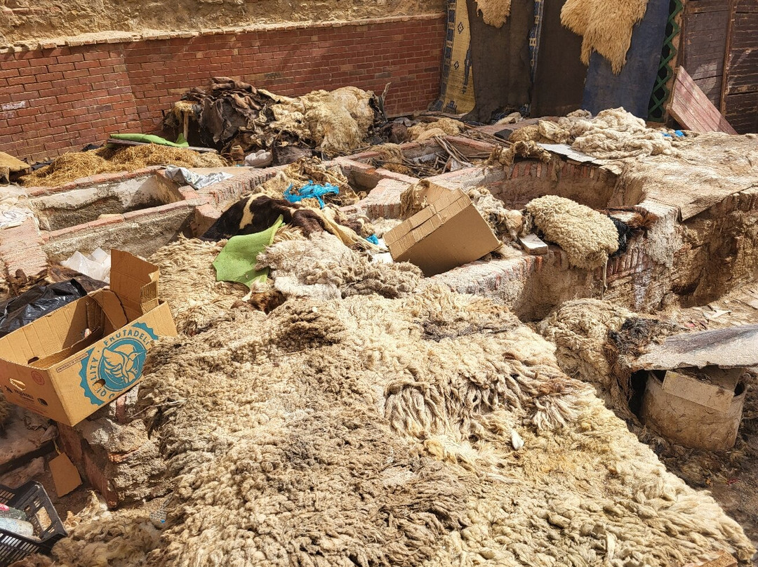 Tanneries of Tetouan-Tetouan必去景点