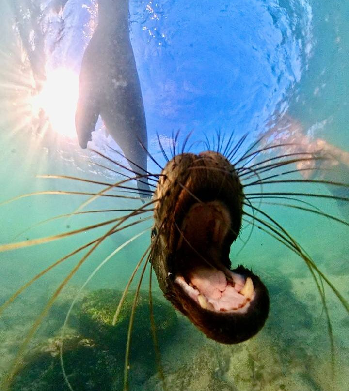 Ecuador Wonders Tour Operator-基多必去景点