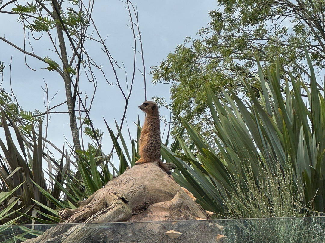 Vogelpark Avifauna-Alphen aan den Rijn必去景点