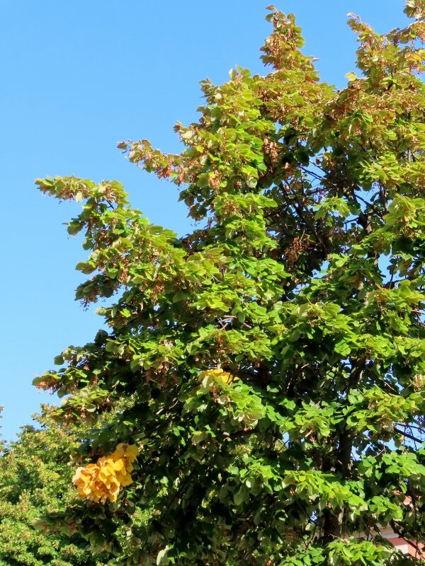 Sentiero del Tidone-皮亚琴察必去景点