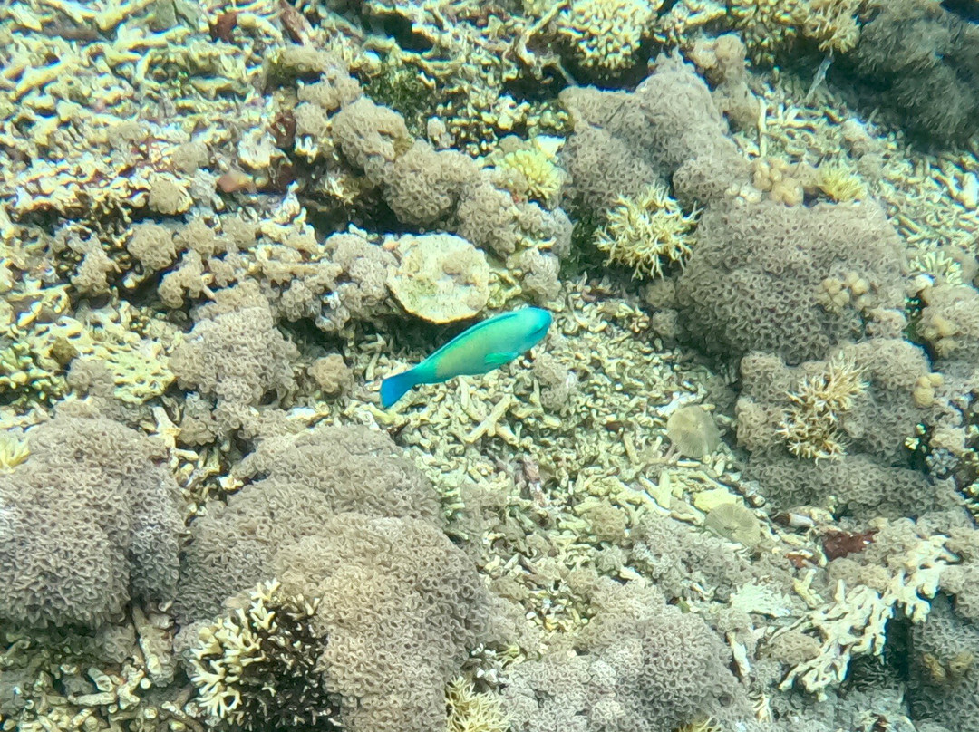 Exotic Komodo Tours-Labuan Bajo必去景点