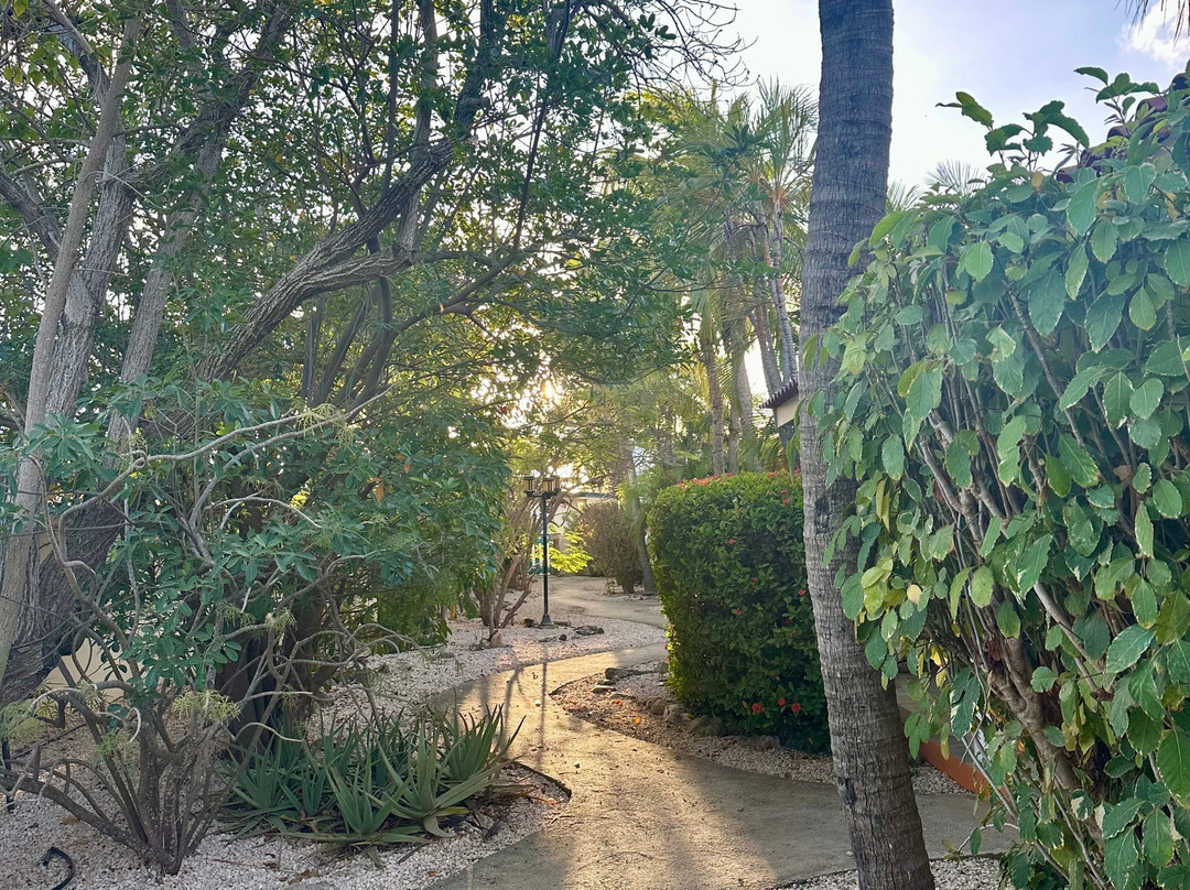 Tropical Divers Resort主图