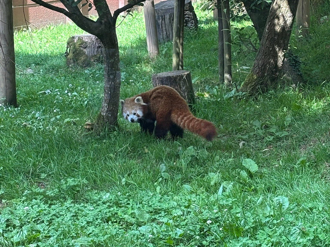 ZooParc de Trégomeur-Tregomeur必去景点