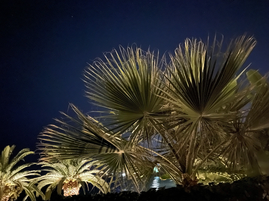 Calypso Suites & Villas Zakynthos主图