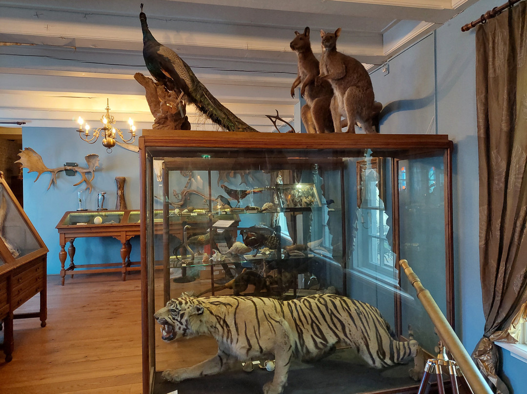 Natuurmuseum Fryslan-吕伐登必去景点