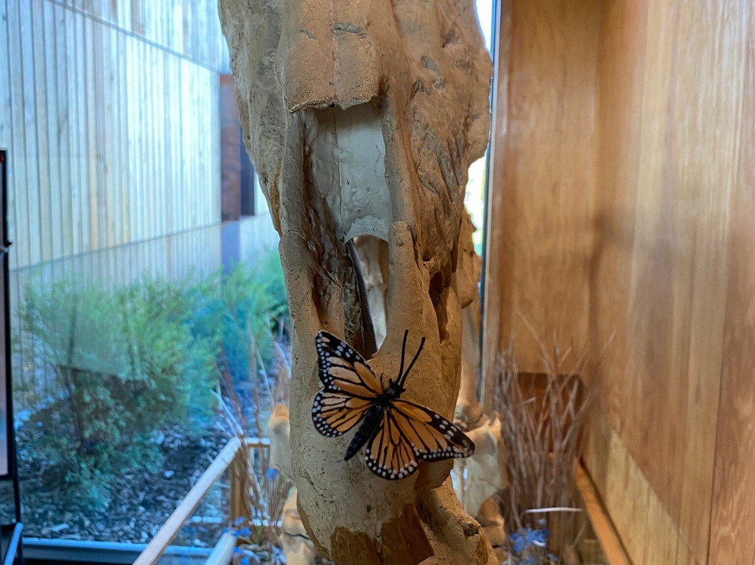 Hagerman Fossil Beds National Monument-Hagerman必去景点