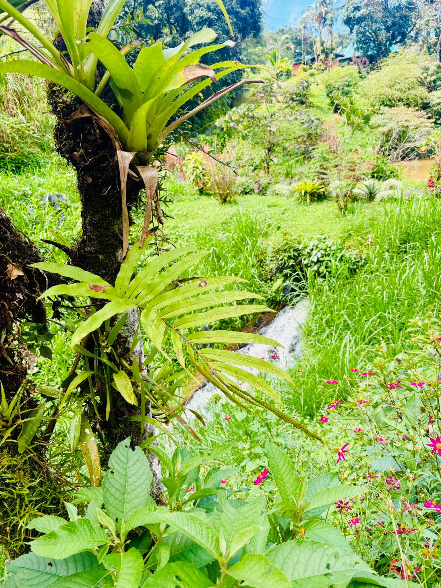 Lucky Bug B & B-官方