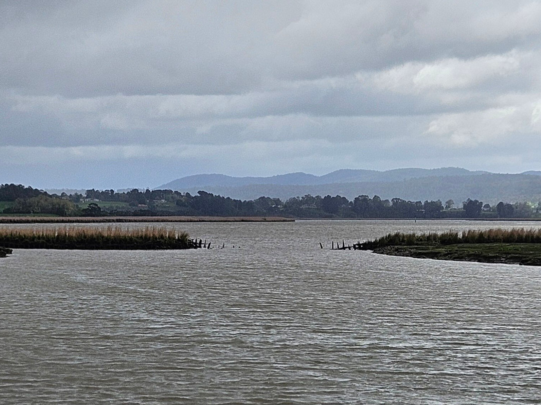 Tamar Island Wetlands-Riverside必去景点