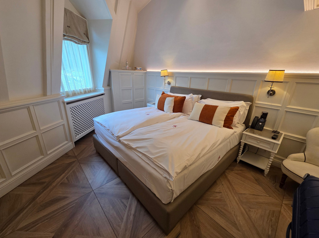 Grand Hôtel des Alpes主图