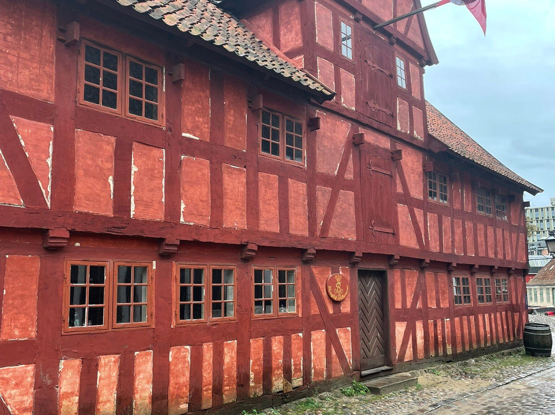 Old Town in Aarhus-欧胡斯必去景点