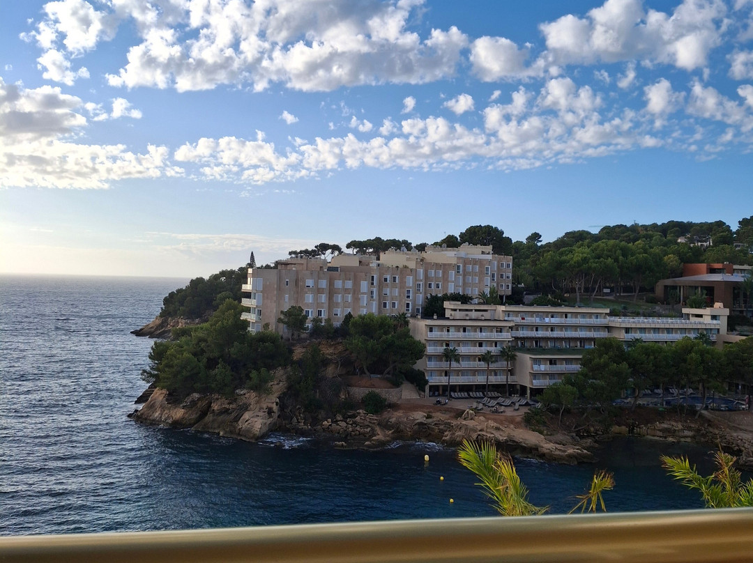Globales Cala Viñas主图