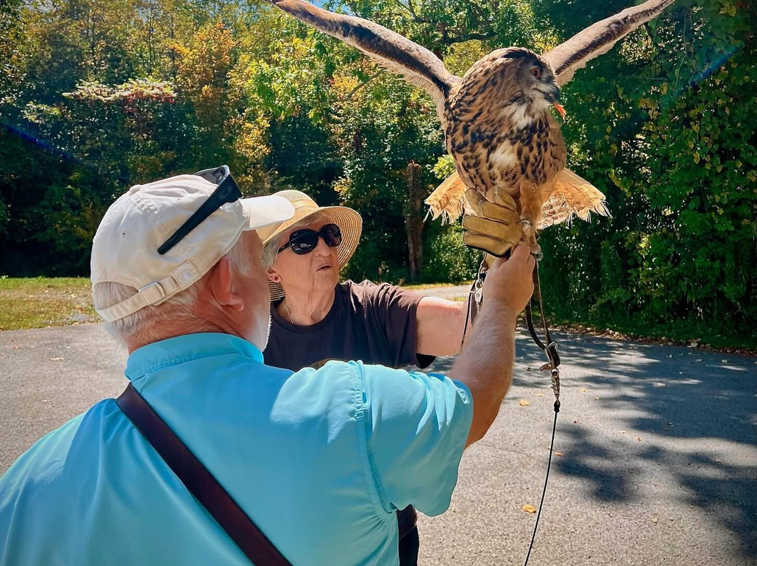 The Greenbrier Falconry-White Sulphur Springs必去景点