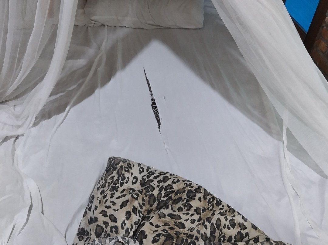 Thousand Hills Ketambe主图