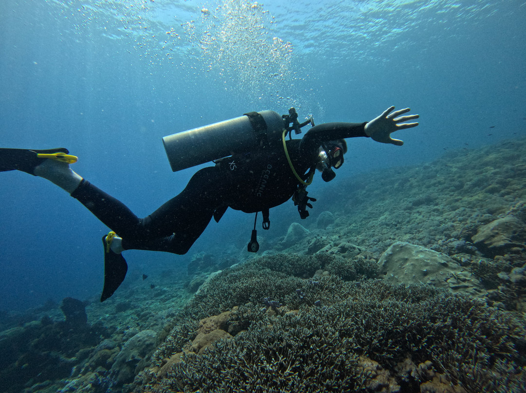 Fluid Focus Freedive Lembongan-蓝梦岛必去景点