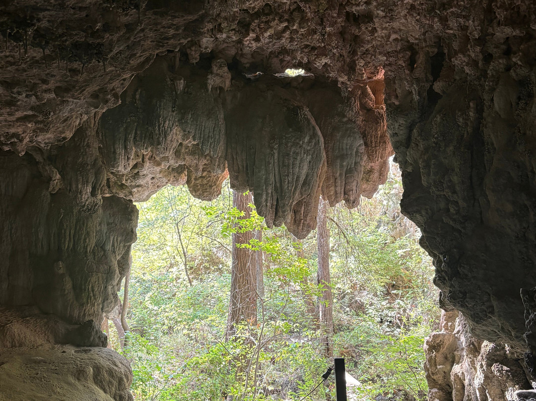 Westcave Outdoor Discovery Center-奥斯丁必去景点
