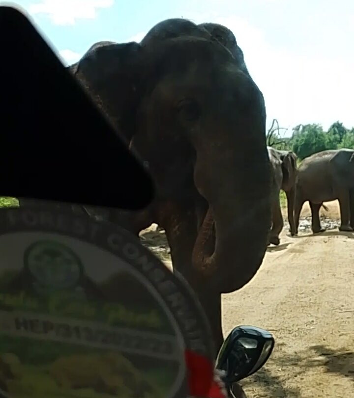 Hurulu Eco Park-哈巴拉娜必去景点