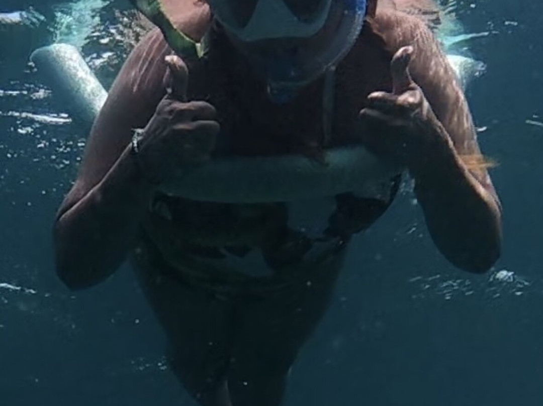 Tres Trapi Steps-Noord必去景点