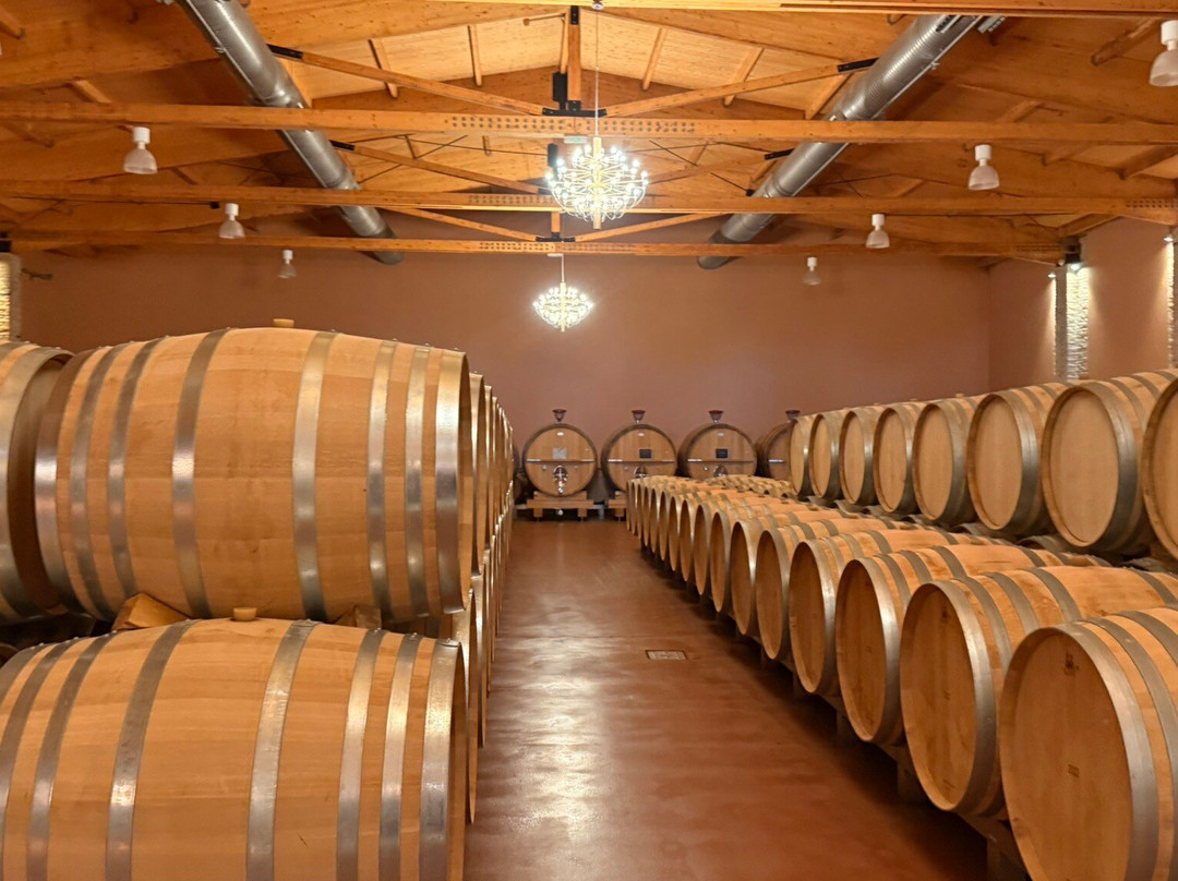 Bodegas Emilio Moro-Pesquera de Duero必去景点