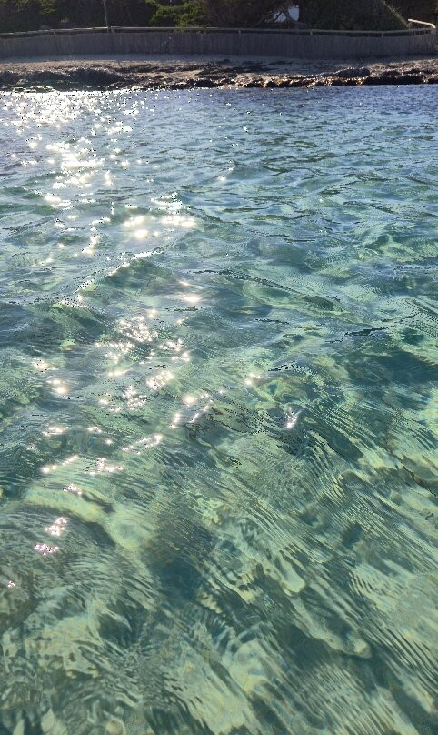 Spiaggia dell'Isola dei Gabbiani (Isuledda)-帕劳必去景点