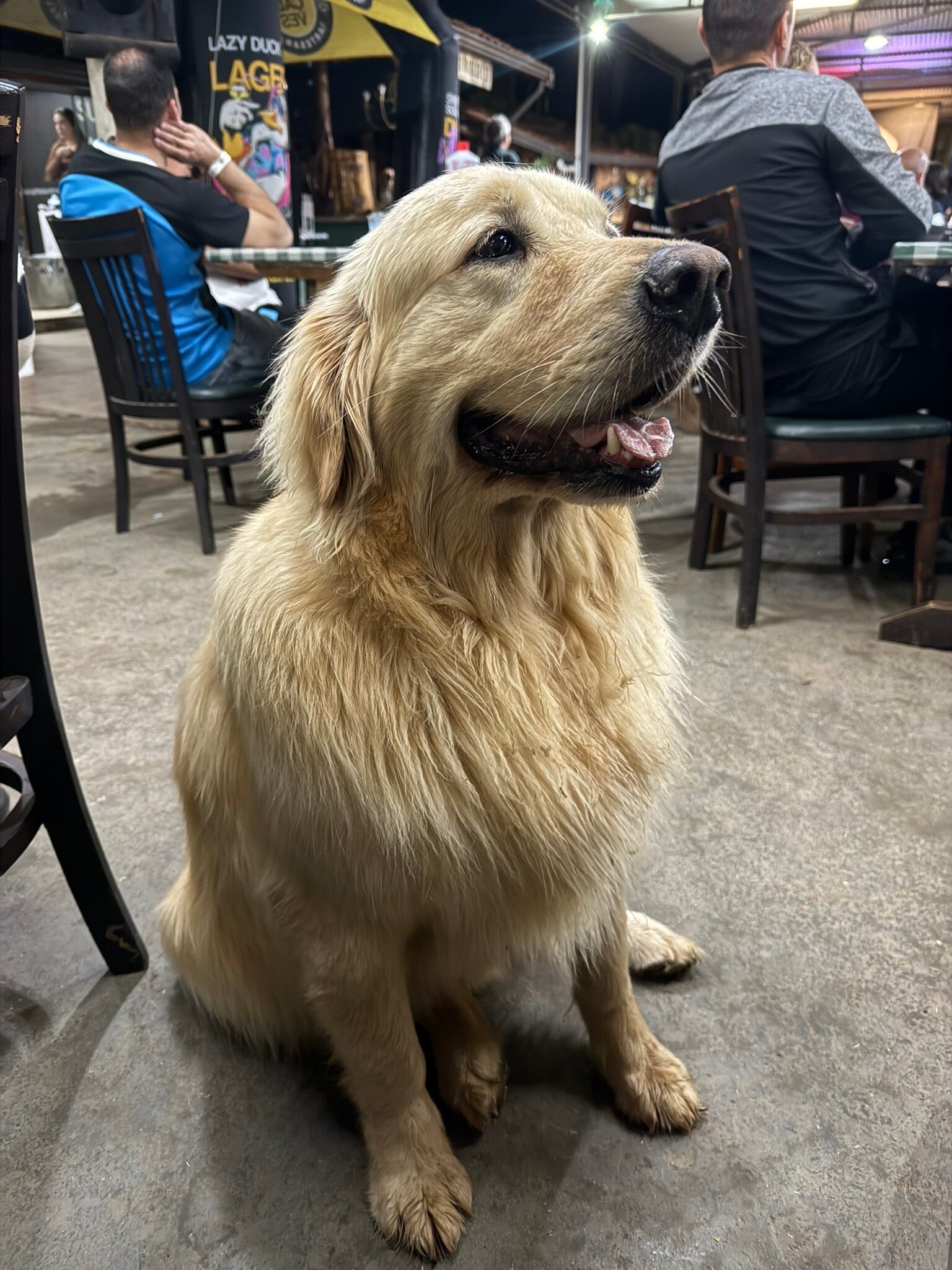 Hotel Fazenda Poços de Caldas-官方