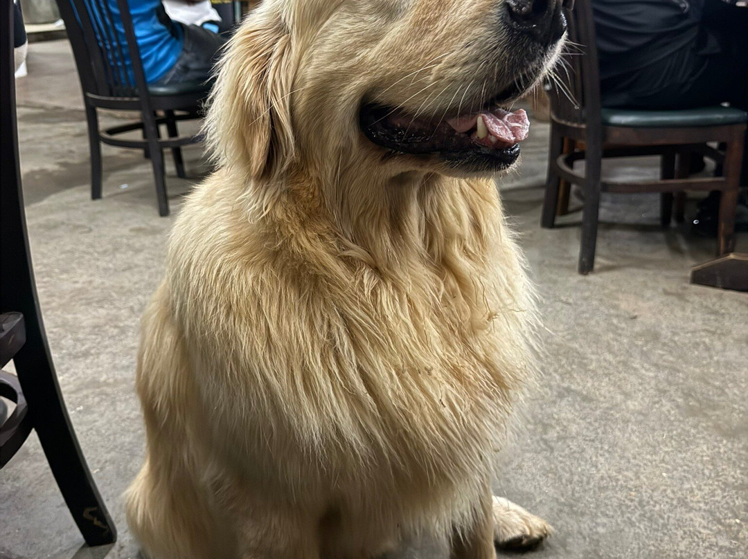Hotel Fazenda Poços de Caldas主图