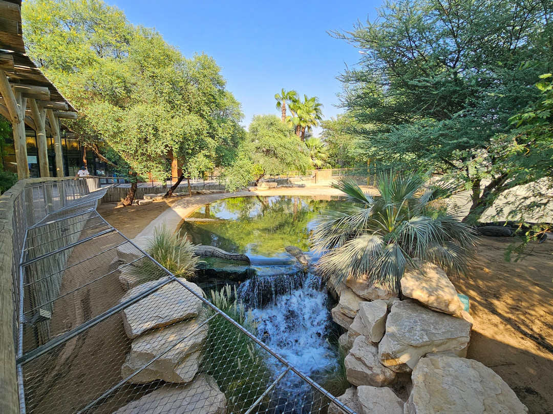 Dubai Crocodile Park-迪拜必去景点