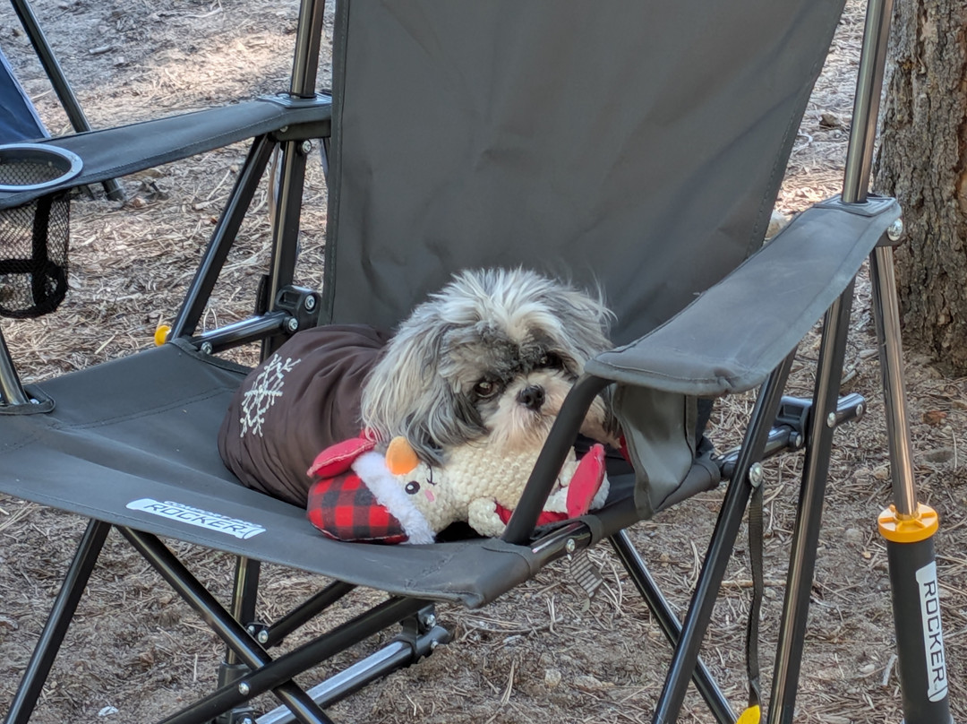 San Clemente State Beach-圣克莱蒙顿必去景点