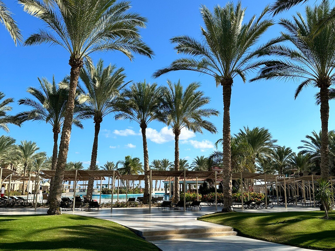 Almaza Bay-Mersa Matruh必去景点