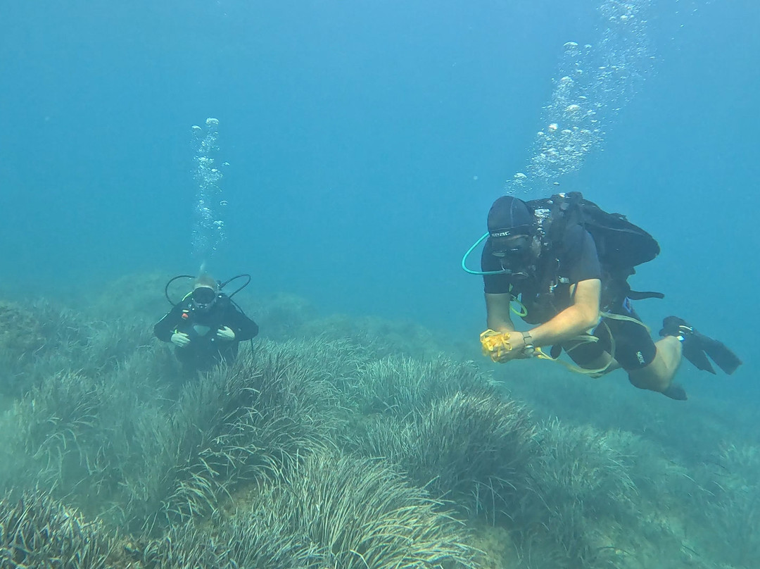 Parga Diving Center-Parga必去景点