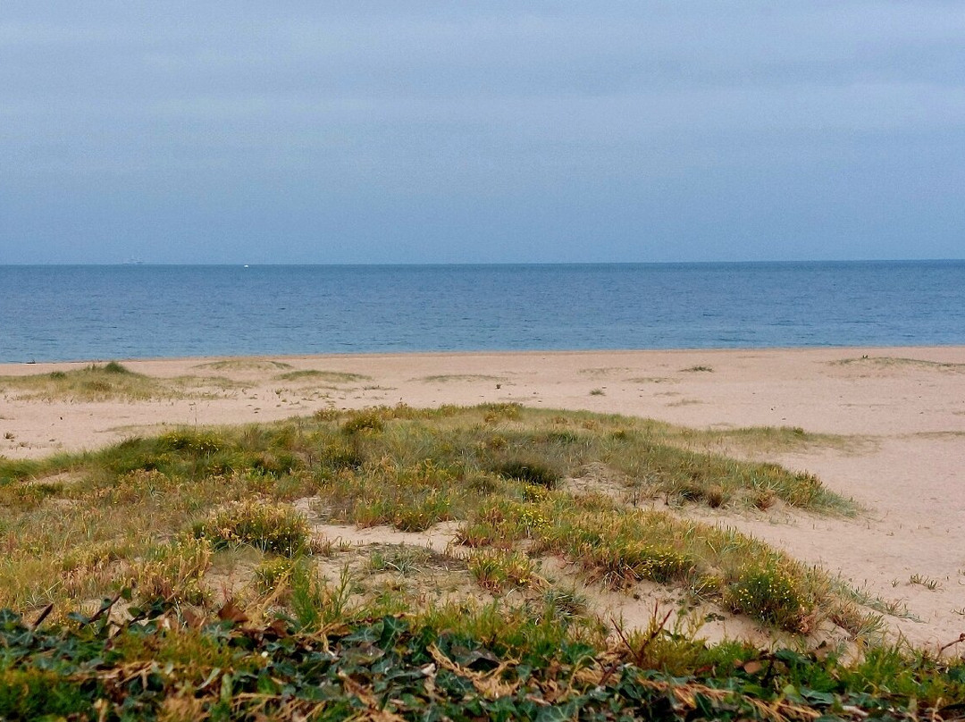 Ouistreham Beach-乌伊斯特勒昂必去景点