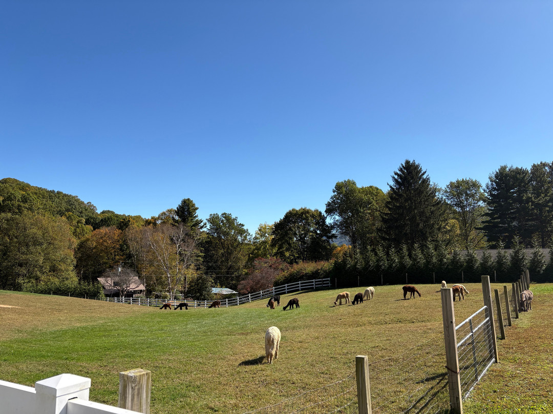 Winchester Creek Farm-韦恩斯维尔必去景点