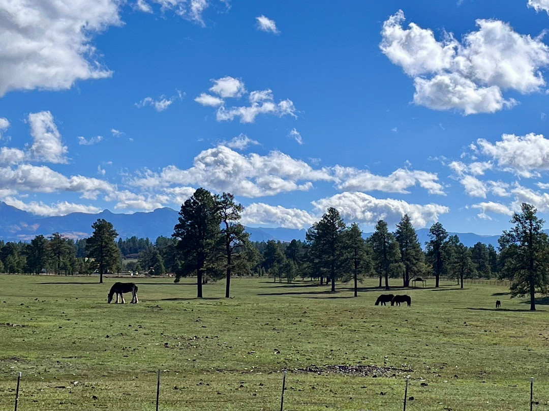 Elk Trace Bed & Breakfast主图