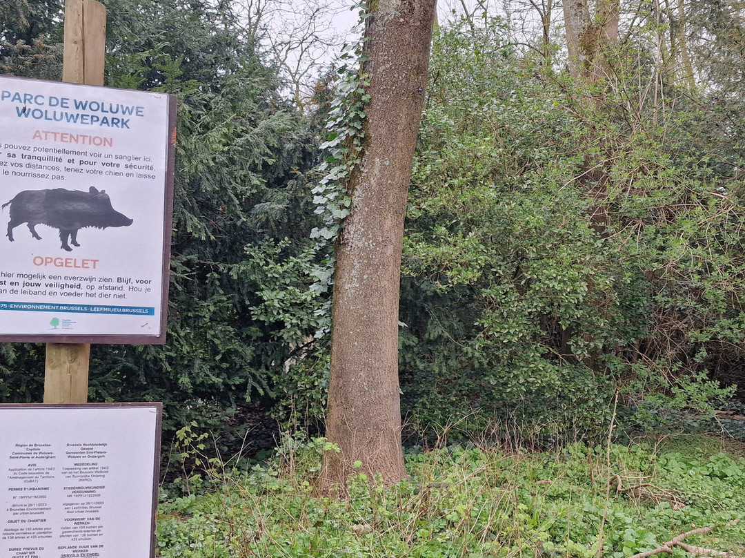Parc de Woluwe-沃吕韦圣彼得必去景点