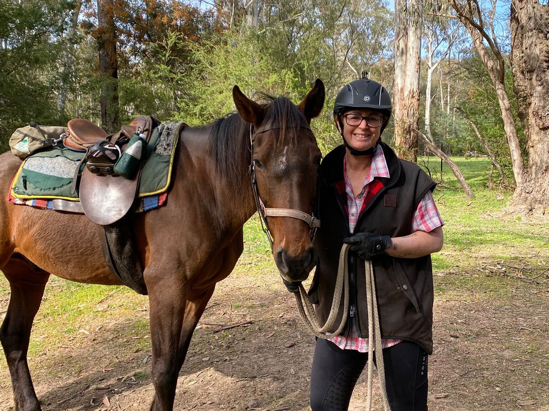 Watson's Mountain Country Trail Rides - Day Tours-曼斯菲尔德必去景点