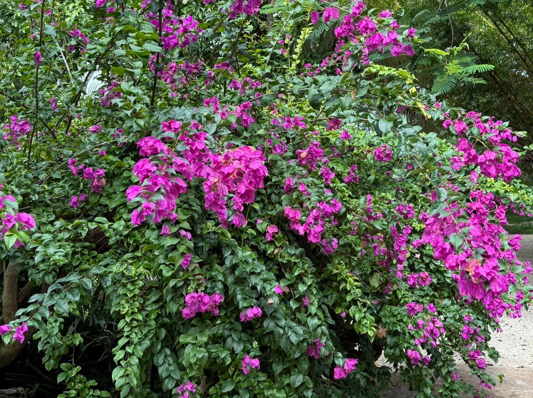 Hacienda Hotel Santo Domingo主图