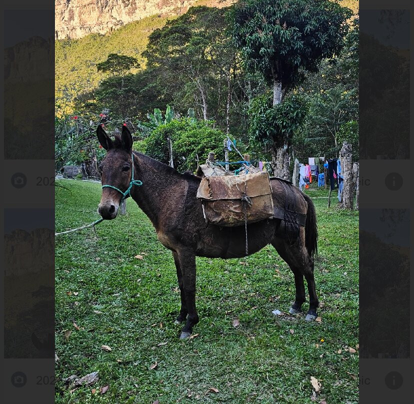 Nativos do Vale do Pati-Mucuge必去景点