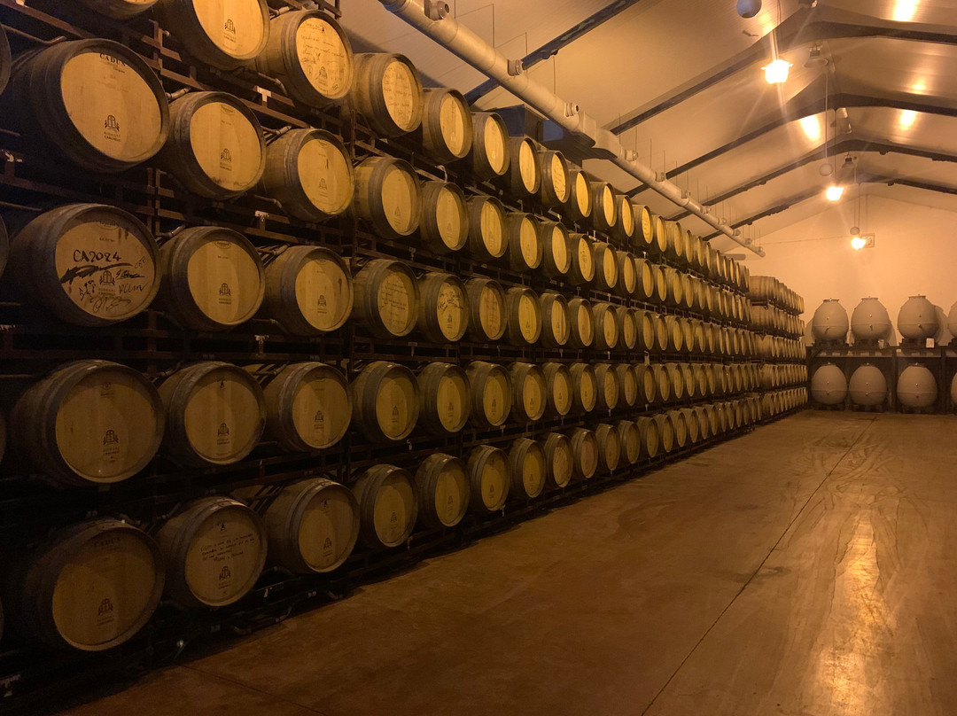 Bodegas Carchelo-Jumilla必去景点